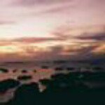 11352890_629713500497231_502030184_a