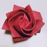 11240346_1630695420498829_34198601_a