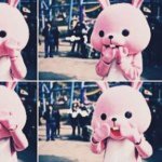 11005241_777086009045383_1677487118_a