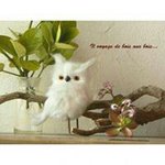 10860085_1509423379322458_1942194034_a