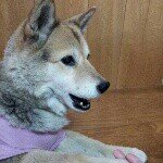 Profile_222584941_75sq_1391744538