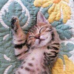 Profile_41394799_75sq_1393425199