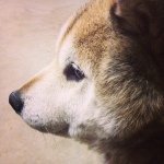 928537_269646263207601_1607346617_a