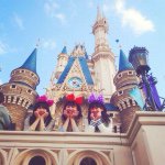 11424436_1615934365312365_898539327_a