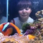 11417234_1215931001751547_405301715_a