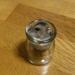 11254235_688754131230029_1393109252_a