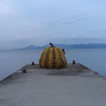 11208231_473975919426228_1646583564_a