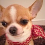 Profile_12538631_75sq_1398172424