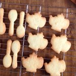 11313257_844995965587128_1500965770_a