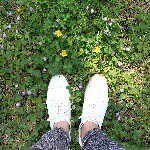 11205847_483423598475698_660566580_a