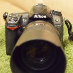 11378594_699648016805830_49043599_a