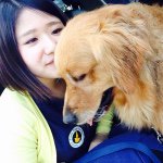 11375341_950115368344166_897990735_a