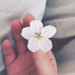 924524_811898235554383_494513677_a