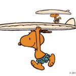 11356383_1659004304329547_1182372436_a