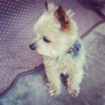 10831796_761764587248518_1906780667_a