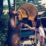 1963160_135070793493188_1762928793_a