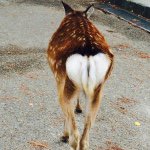 10802930_661157583999264_808380075_a