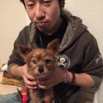 11094487_823943011014296_2012358513_a