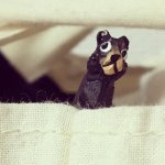 11187026_1580458672241775_1689173510_a