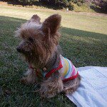 Profile_204921846_75sq_1360181841