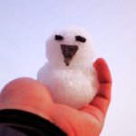 10707098_325242714333383_852401062_a