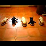 Profile_208456575_75sq_1345043556