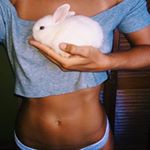 11242260_873489189411586_1587680310_a