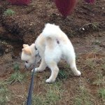 Profile_606858945_75sq_1381675213