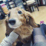 10919489_338944096297140_1270365781_a