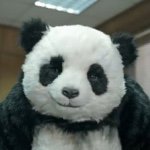 10914322_1002998136381486_1795991578_a