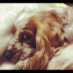 Profile_26209981_75sq_1330858017