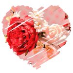 11008103_407315346096218_1568999861_a