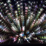 10986335_429035093938587_891379668_a