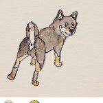 11252738_447171262121829_2146102092_a