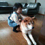 10895474_1406592632974182_757642230_a