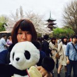 10979715_806068992815232_1974159716_a