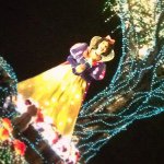 10818049_414206558731142_1264012855_a