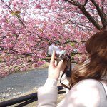 11032872_584283078374903_791866368_a