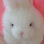 11420899_782514908523849_297754890_a