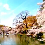 Profile_1224824421_75sq_1399578816