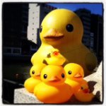 1941260_1469663916641113_1259645390_a