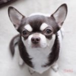 11055471_758092130964928_497778140_a