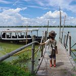 11428646_1614516935463226_1828877456_a