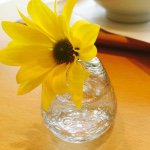 11192641_681020625337963_69555829_a