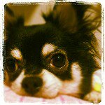 Profile_209670467_75sq_1345479871