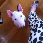 Profile_11860368_75sq_1382940706