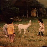 11357534_1635357606678102_244024735_a