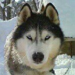 Profile_1032388262_75sq_1394888924