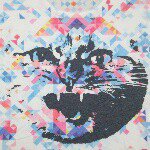 11245636_1633799866834335_1619874848_a