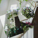 11333600_1469764106649328_1544966829_a